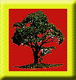 Family Tree